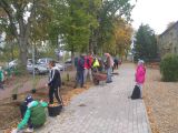 Sadzimy zieleń przy naszej szkole, 
