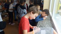 Konkurs Kapelusz Pani Jesieni, Aneta Dworakowska