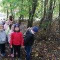 Klasa 1a poznaje chmurkę Tosię i obchodzi Święto Drzewa, 