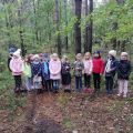 Klasa 1a poznaje chmurkę Tosię i obchodzi Święto Drzewa, 