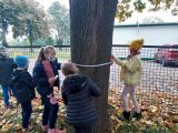 Innowacja w  Szkole Podstawowej 
im. Kornela Makuszyńskiego w Skrzeszewie, 