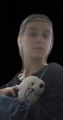 Dawne obrazy w nowoczesnym wydaniu, 