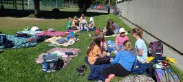 Piknik w klasie 2B, 