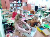 Projekt Plastuś, 