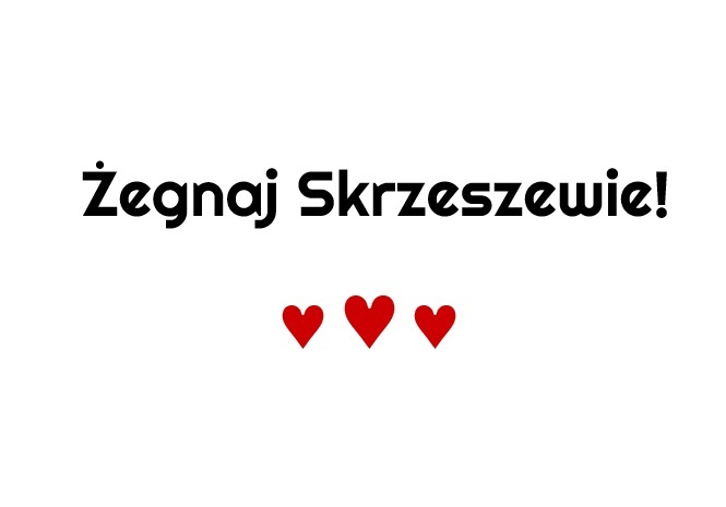 Ikona
